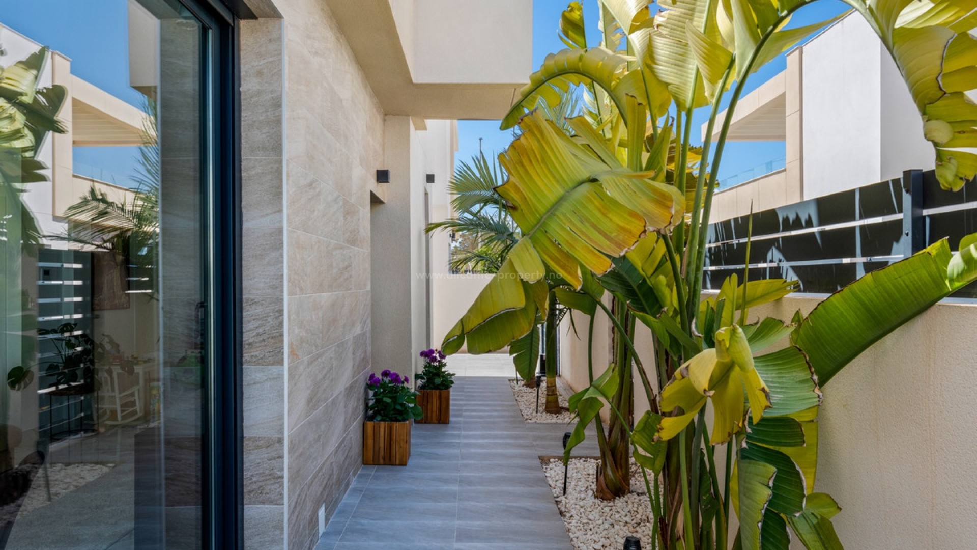 Villa in Los Montesinos Centro