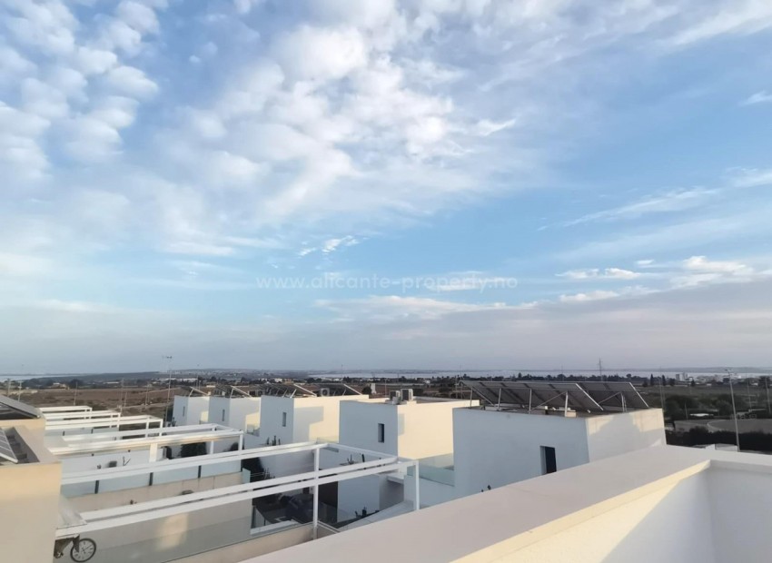 Villa in Los Montesinos Centro