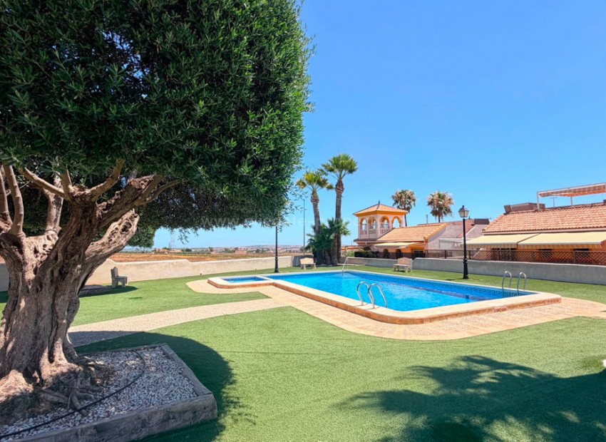 Villa in Los Montesinos Centro