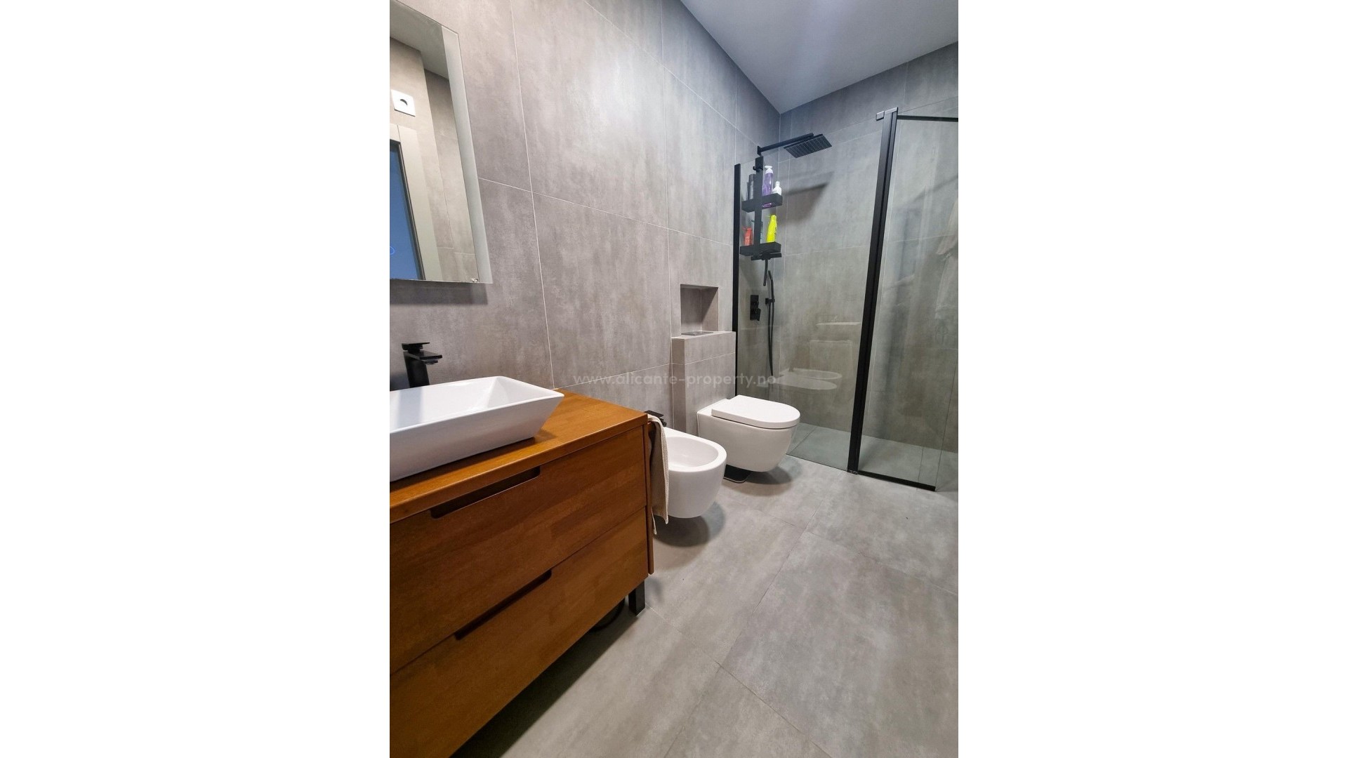 Villa in Mil Palmeras