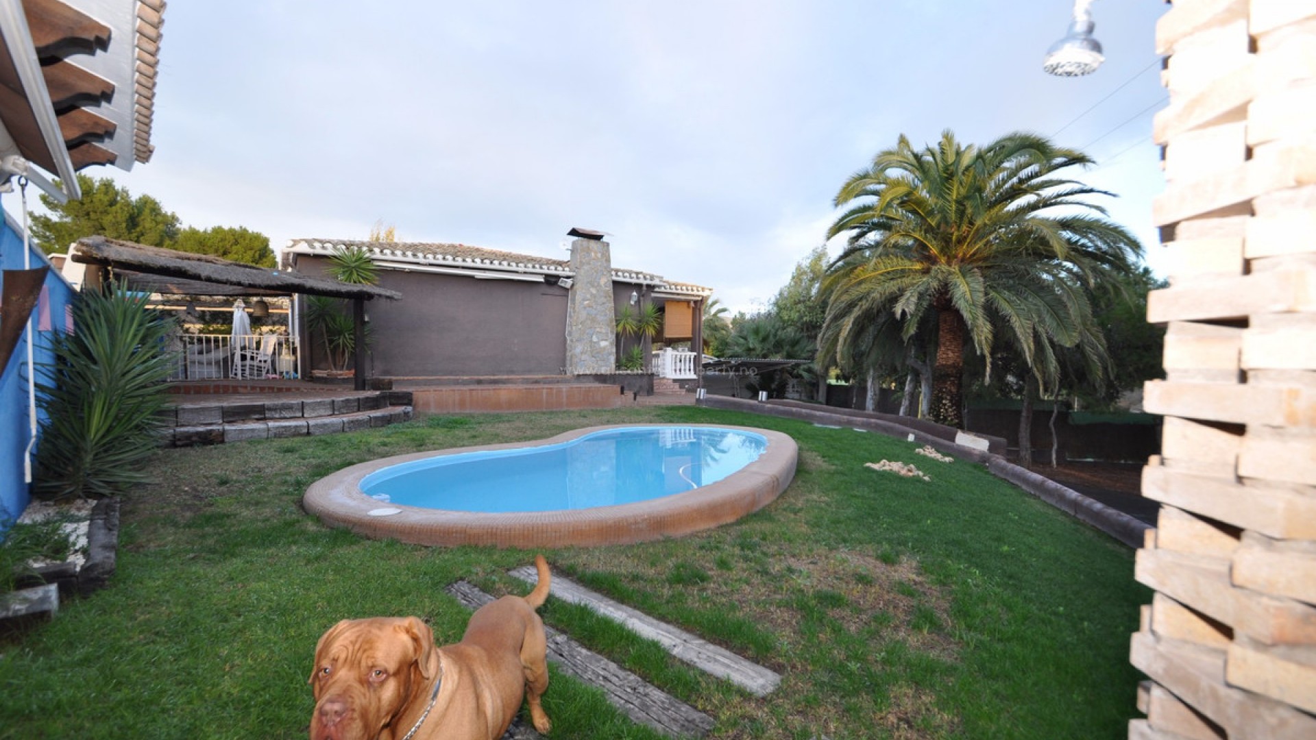 Villa in Monóvar - Monòver Centro