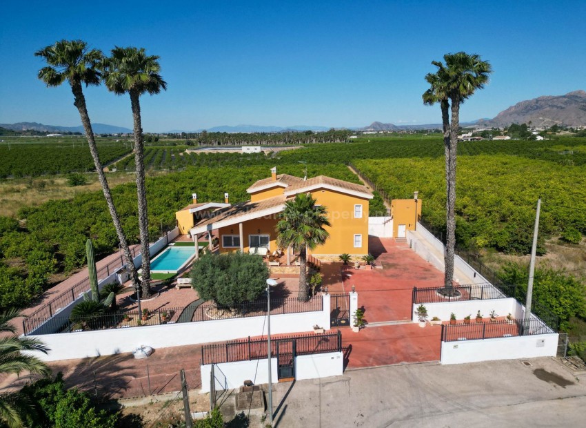 Villa in Orihuela Centro