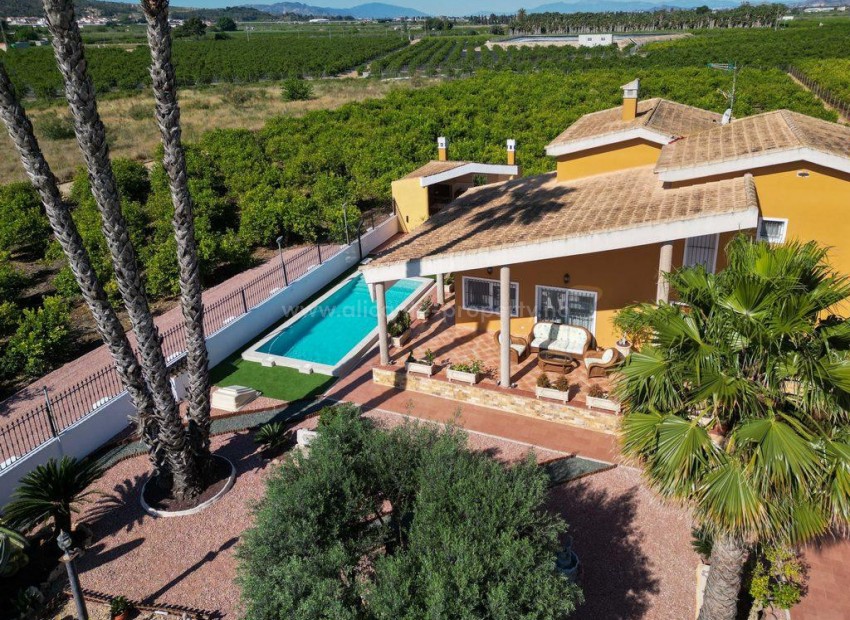 Villa in Orihuela Centro