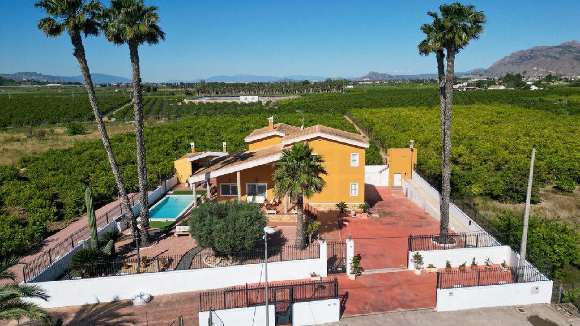 Villa in Orihuela Centro