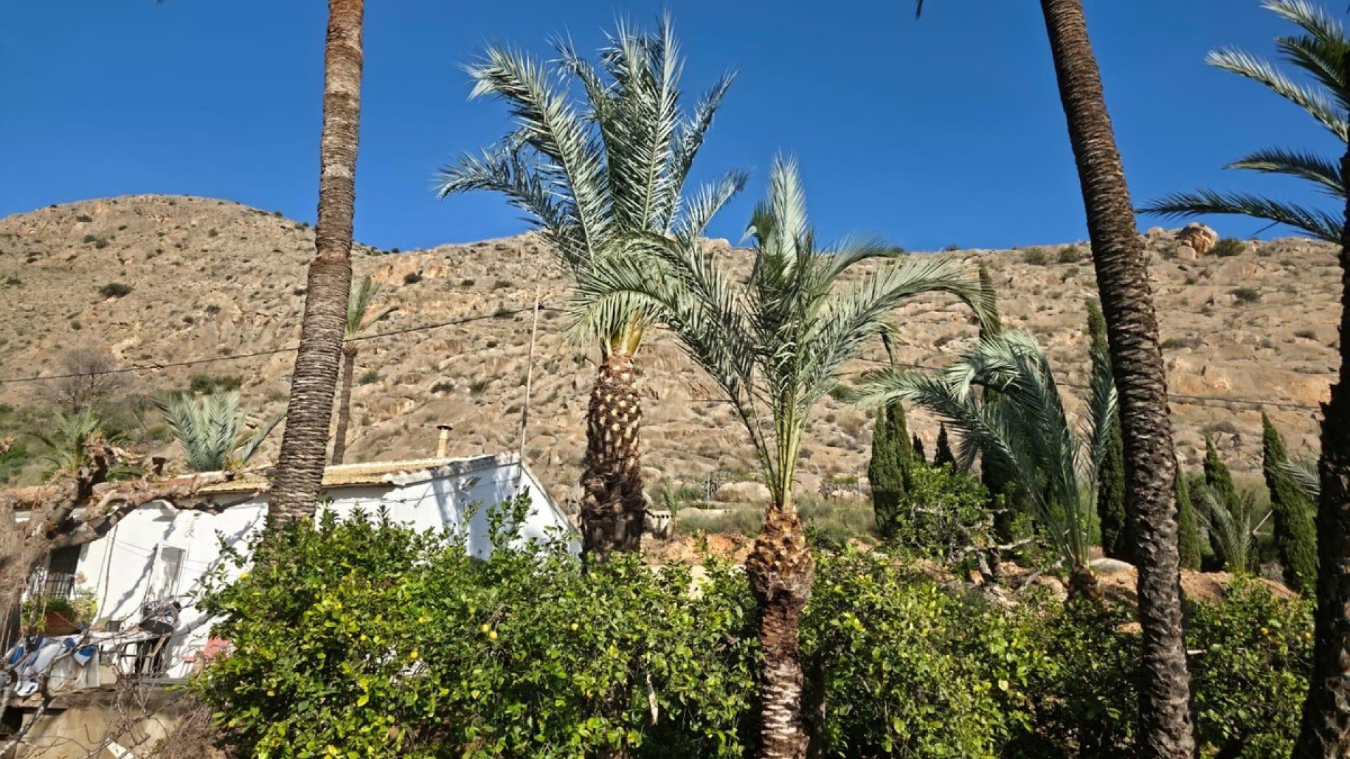 Villa in Orihuela Centro