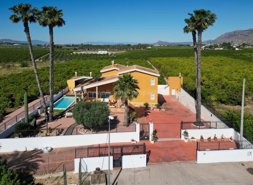 Villa in Orihuela Centro