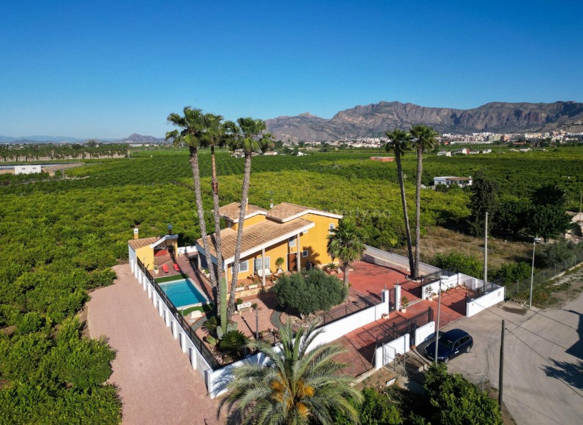 Villa in Orihuela Centro