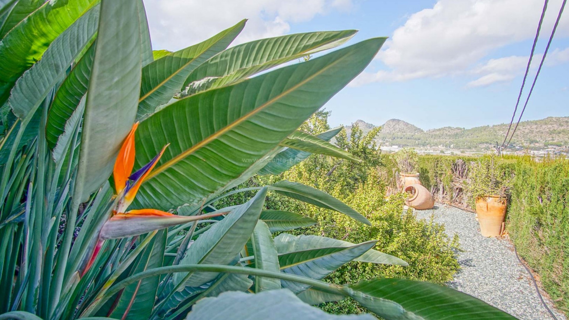 Villa in Pedreguer Centro