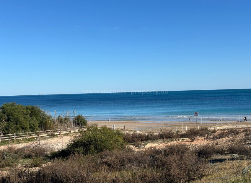 Villa in Pilar de la Horadada Centro