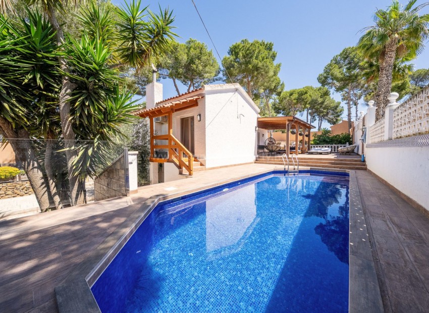 Villa in Pilar de la Horadada Centro