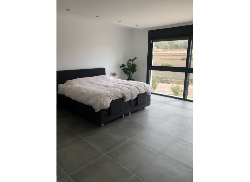 Villa in Pinoso Centro