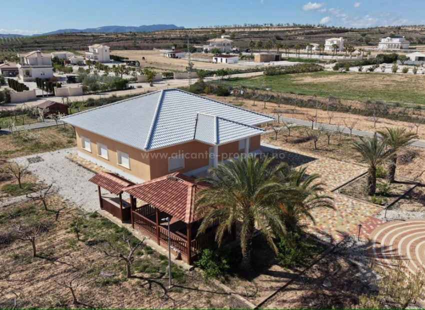 Villa in Pinoso Centro