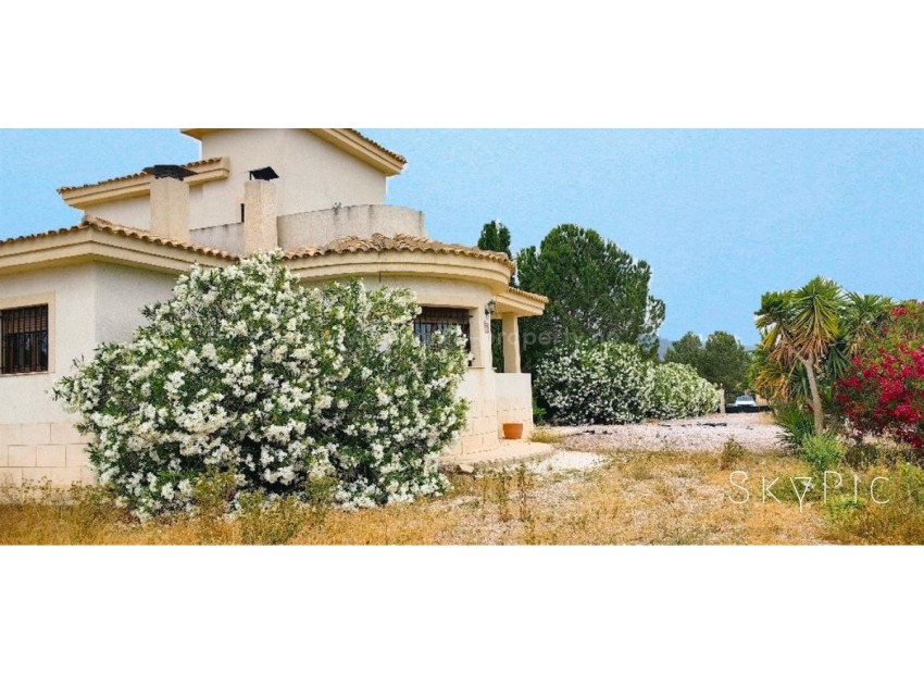Villa in Pinoso Centro