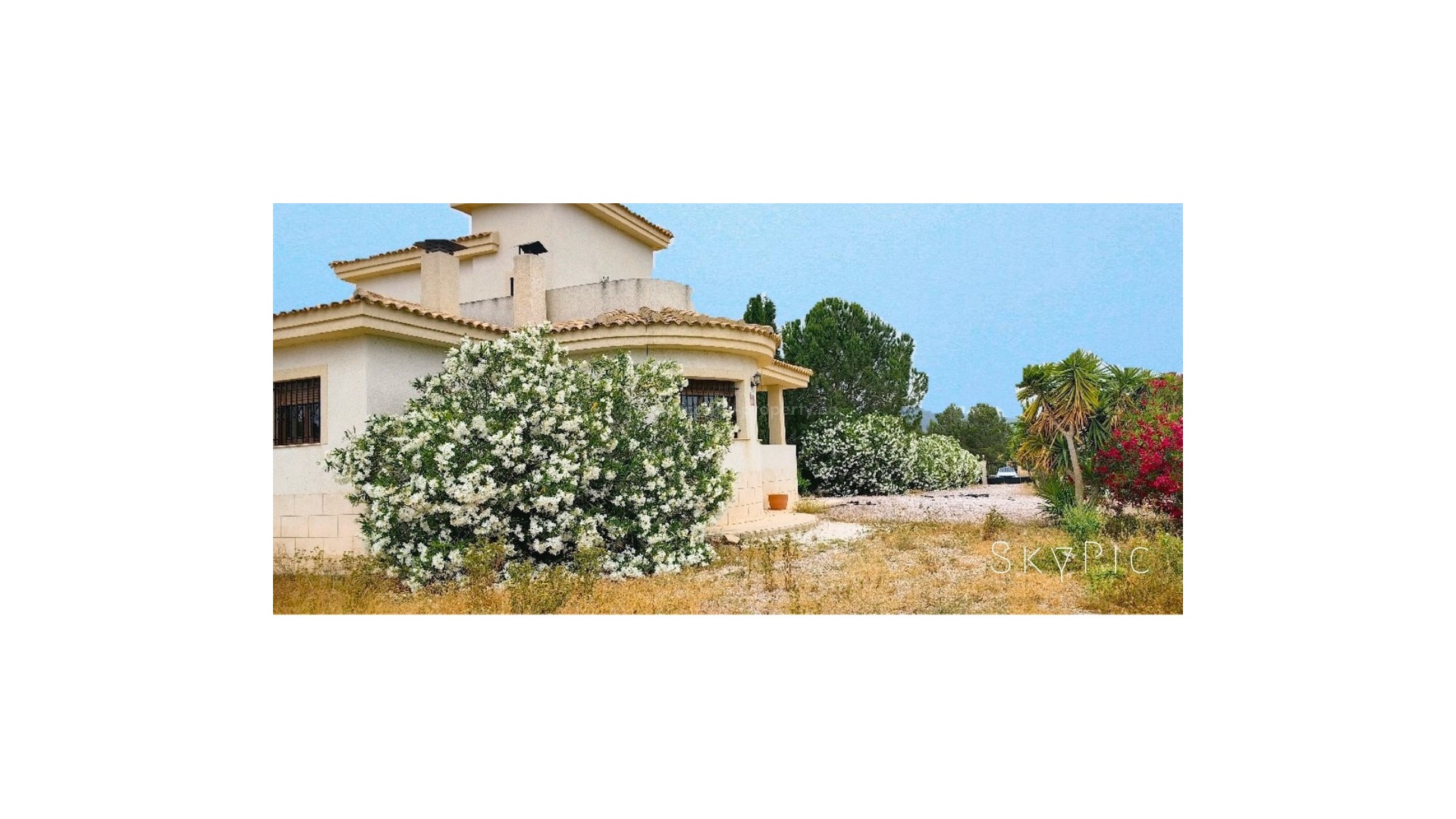 Villa in Pinoso Centro