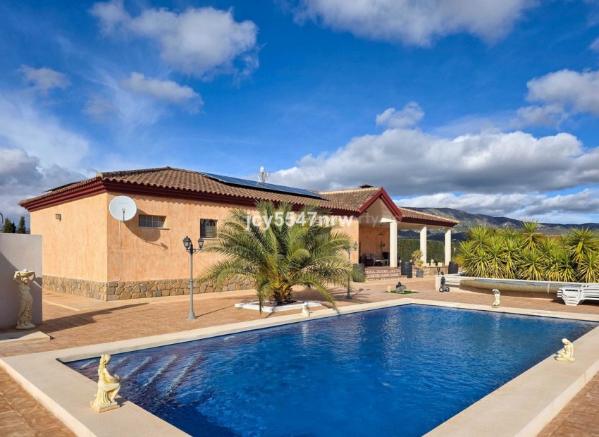 Villa in Pinoso Centro