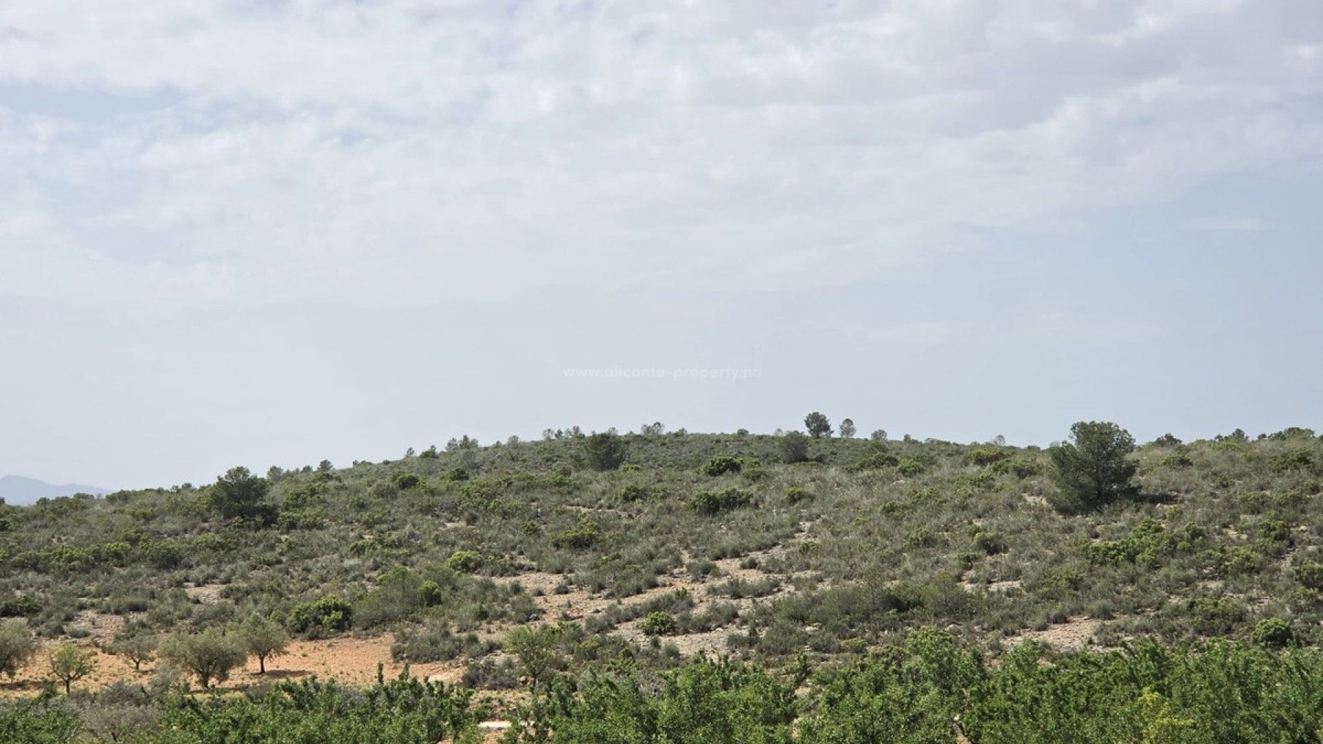 Villa in Pinoso Centro