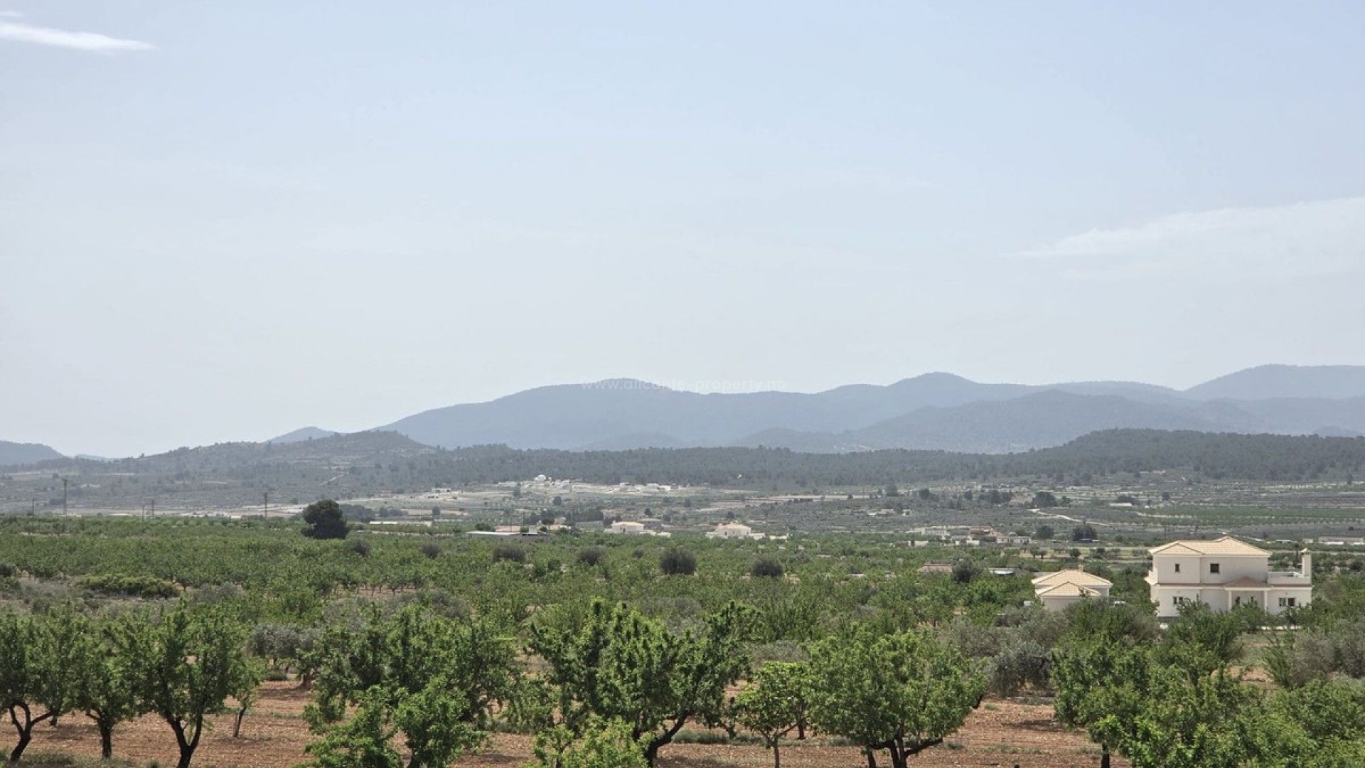 Villa in Pinoso Centro