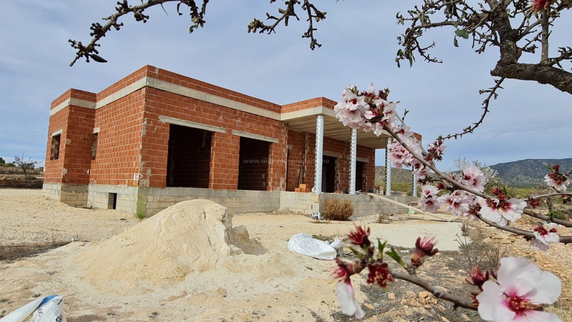 Villa in Pinoso Centro