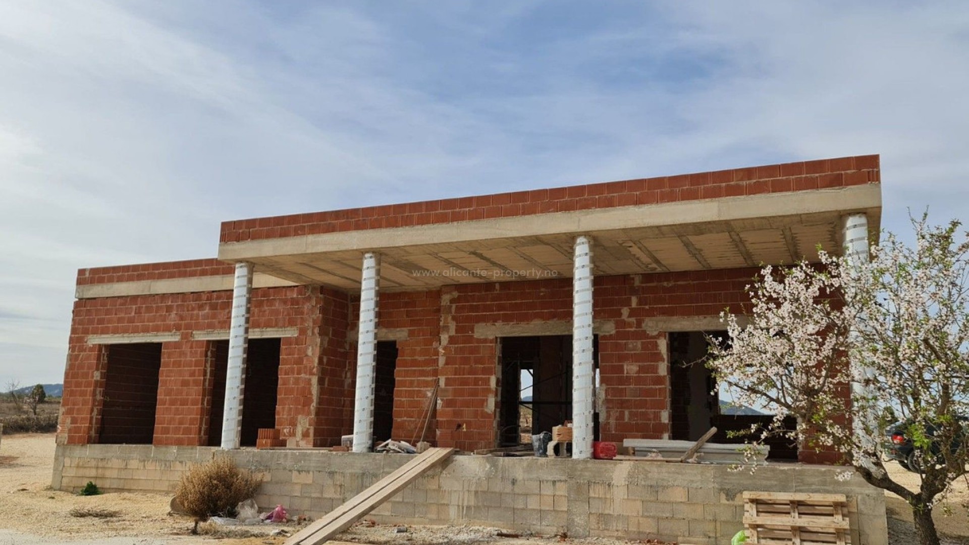 Villa in Pinoso Centro