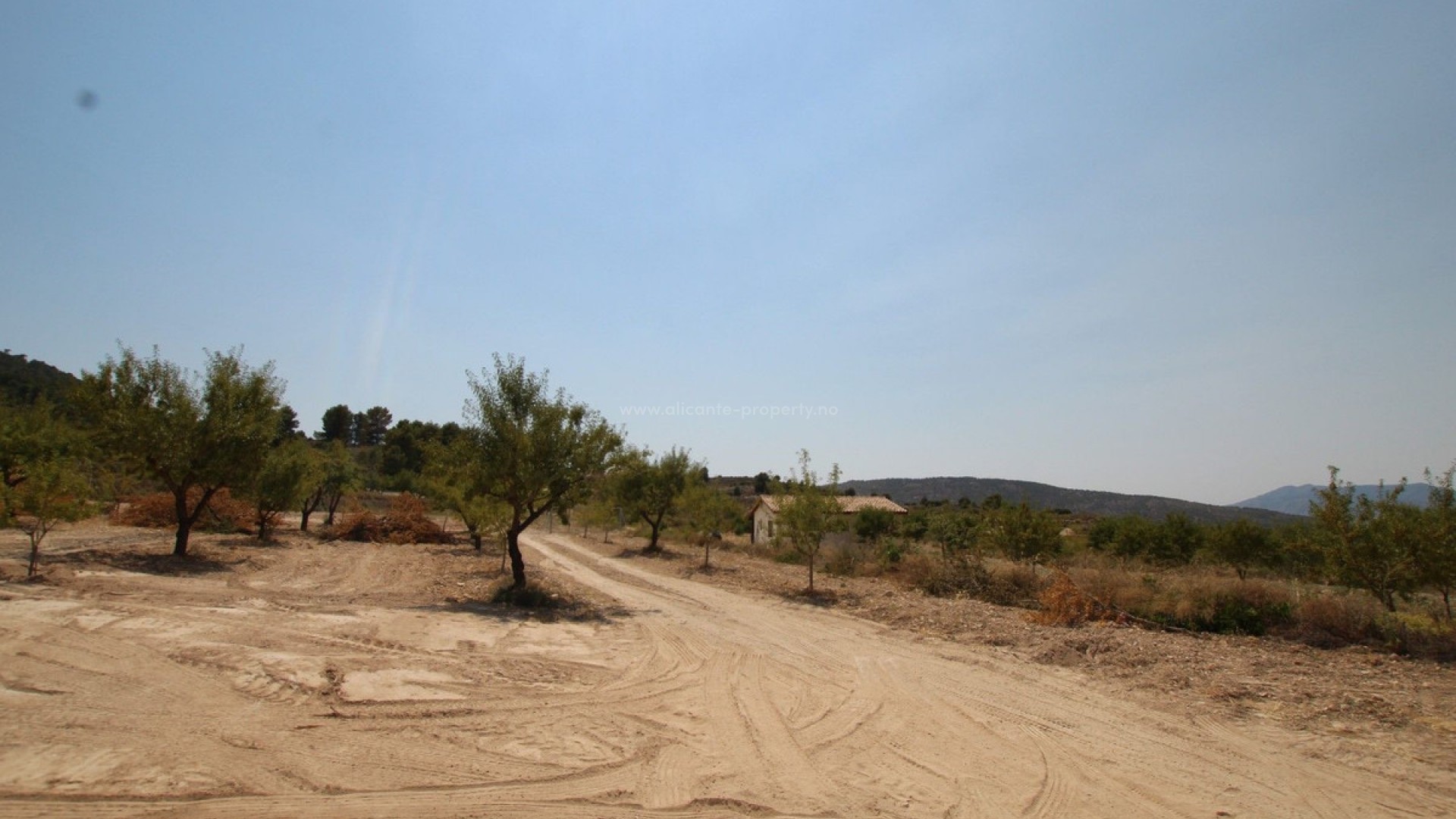 Villa in Pinoso Centro