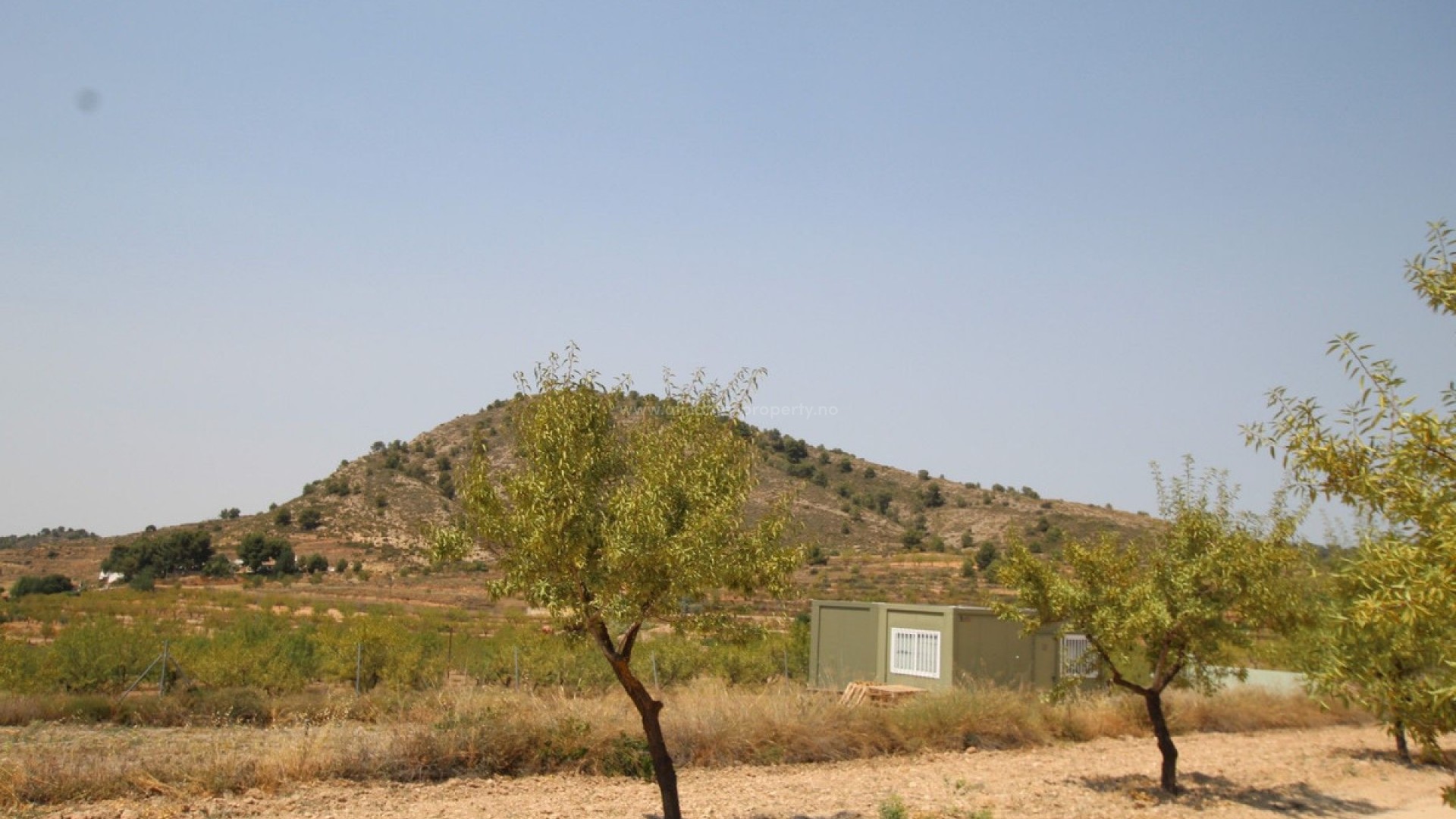 Villa in Pinoso Centro