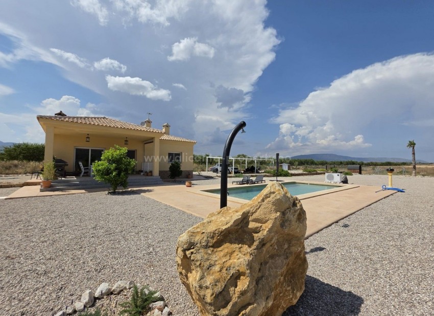 Villa in Pinoso Centro