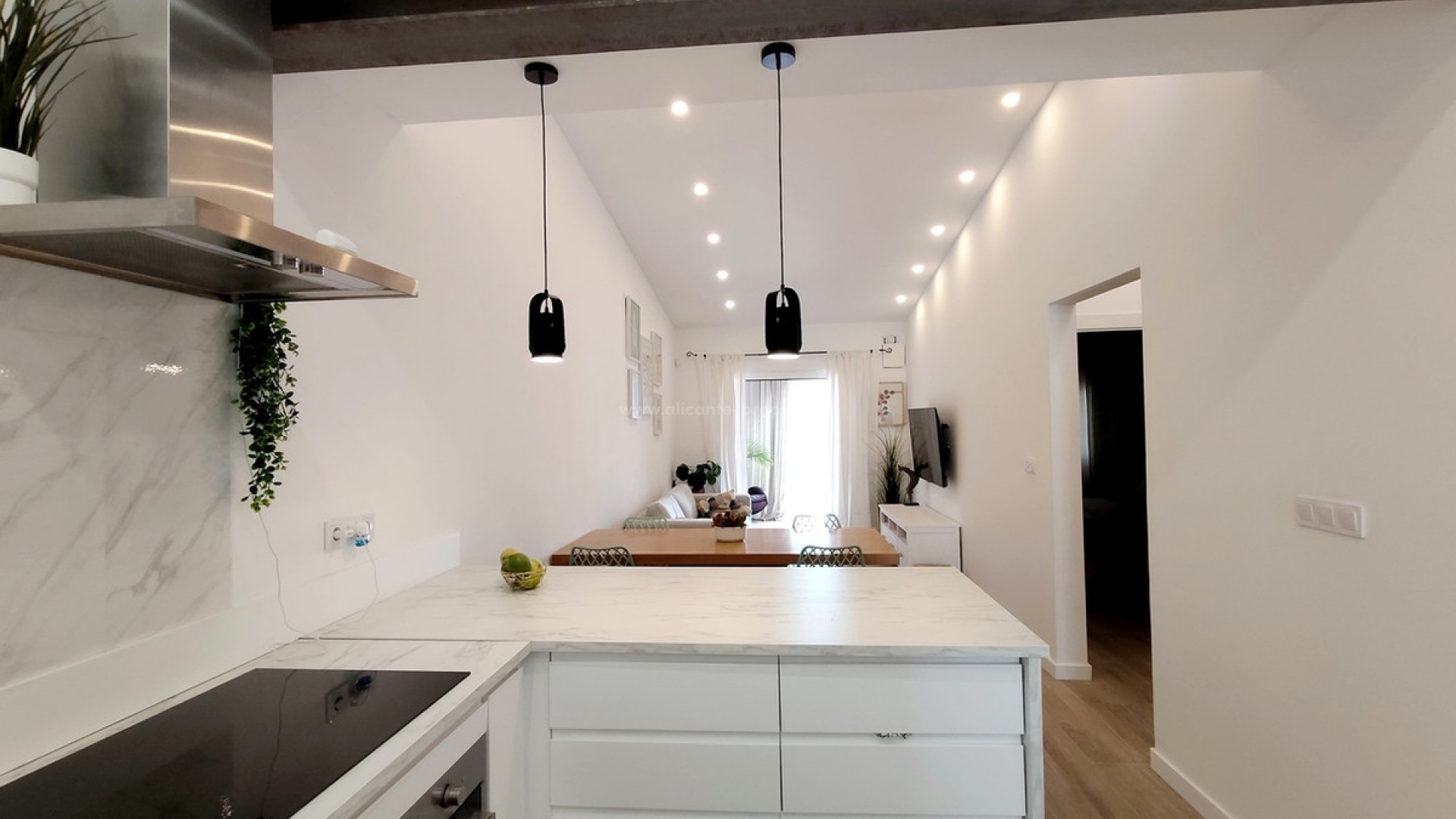 Villa in Playa Flamenca