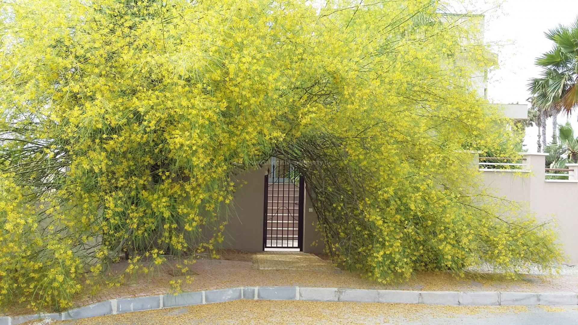 Villa in Pueblo Bravo