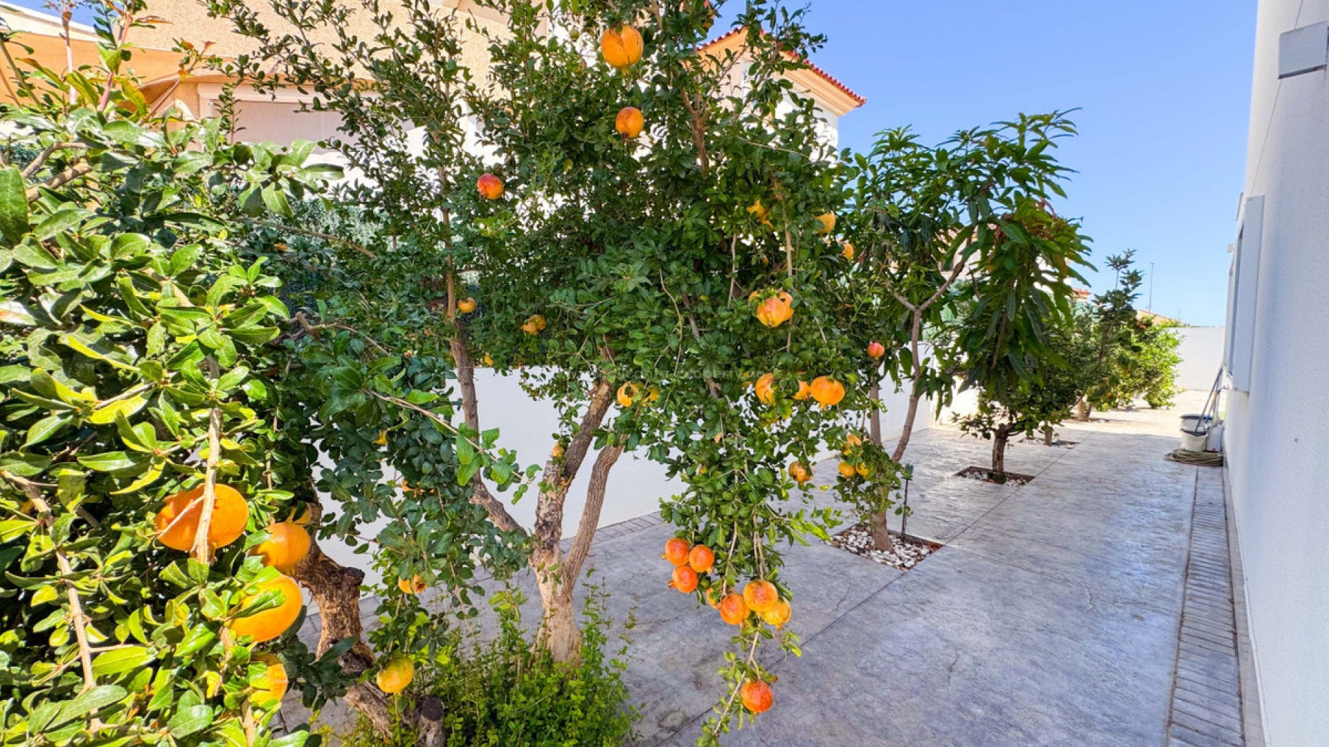 Villa in San Fulgencio Centro