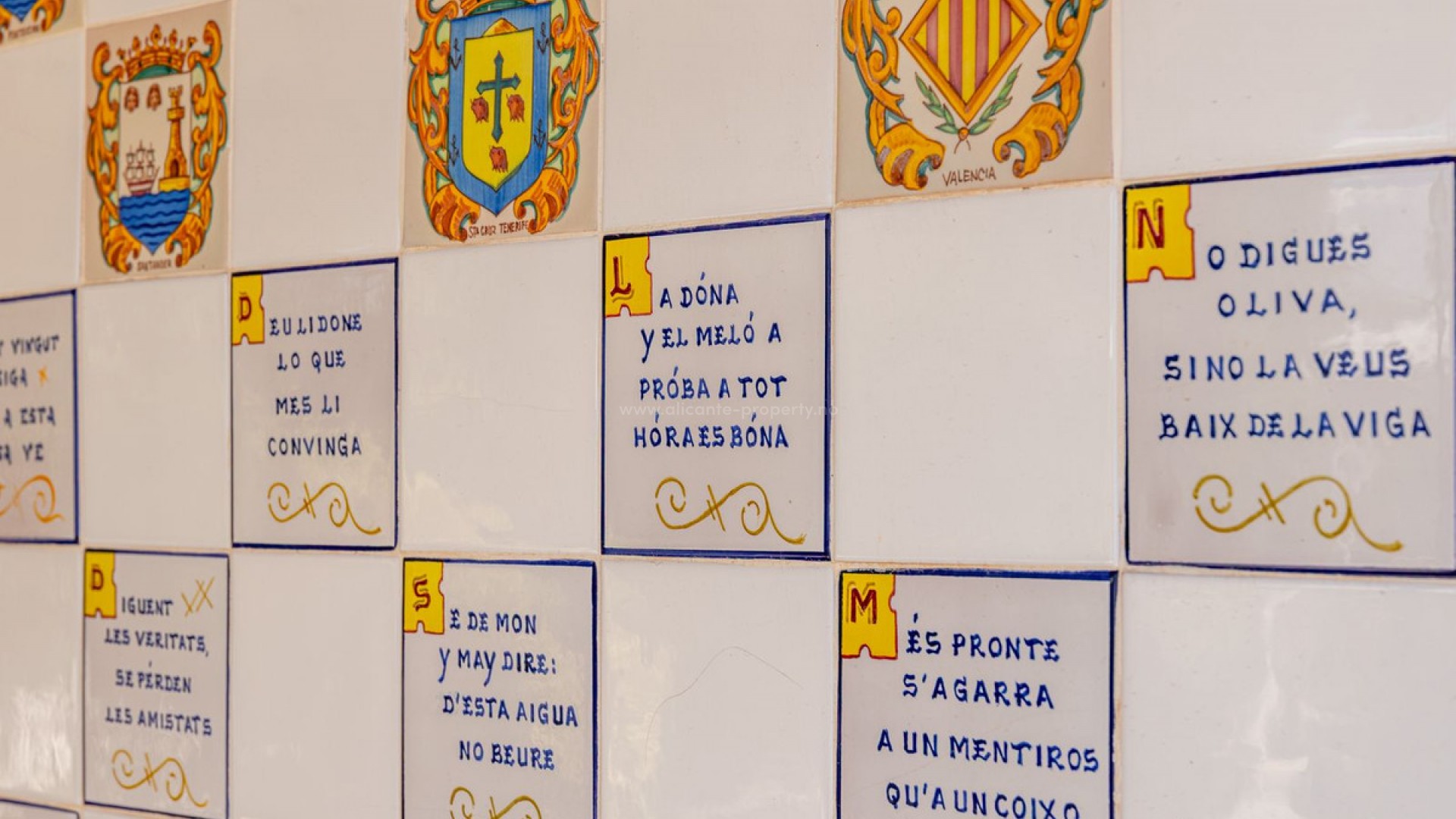 Villa in San Juan de Alicante Centro