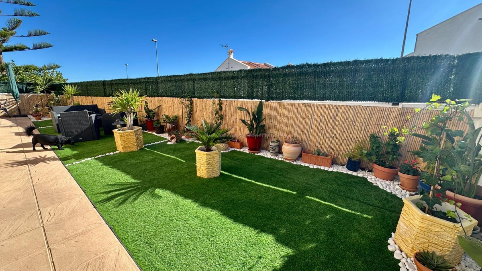 Villa in San Miguel de Salinas Centro