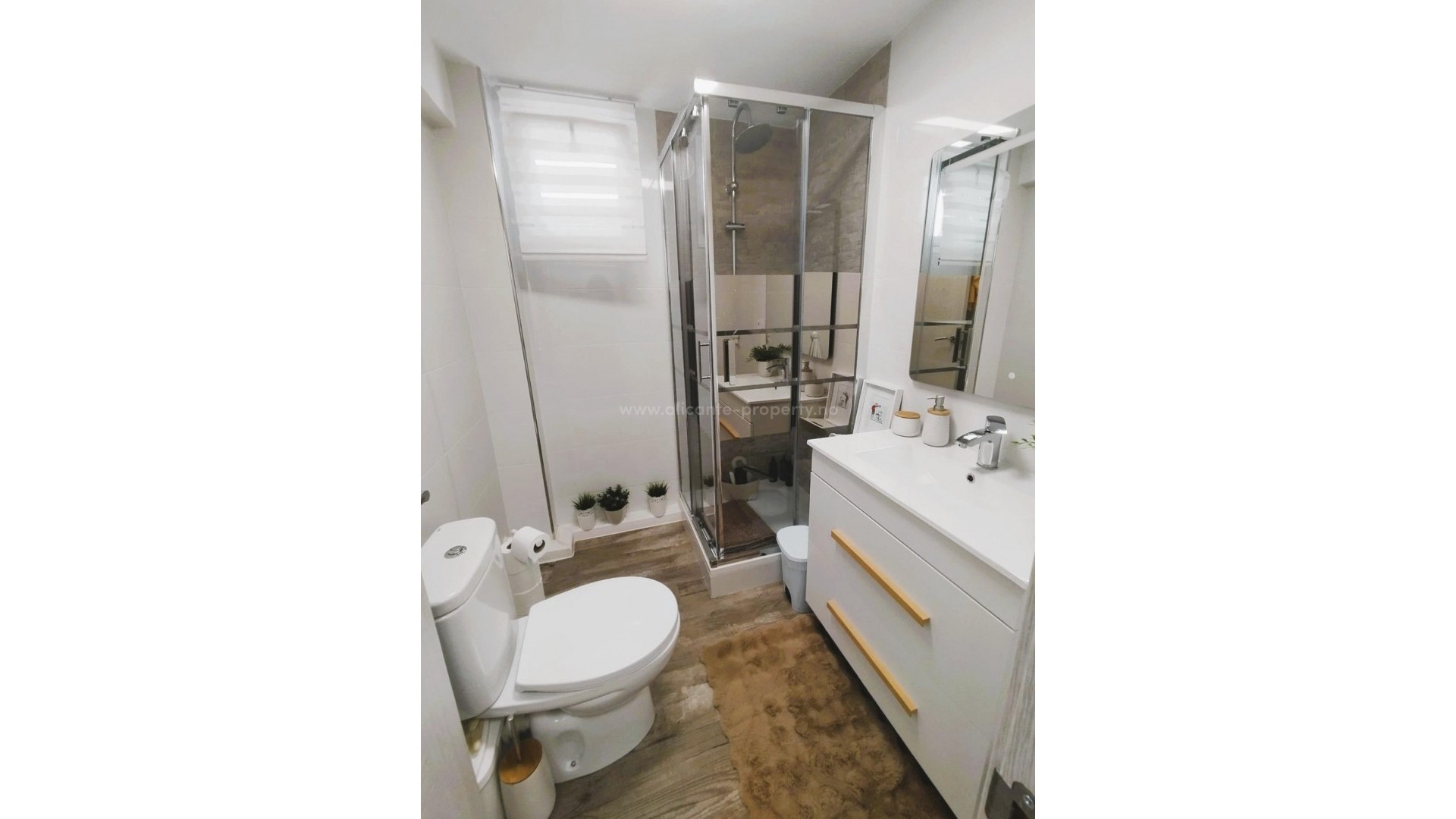 Villa in San Miguel de Salinas Centro