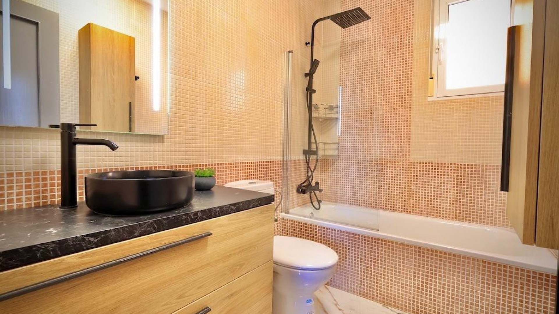 Villa in San Miguel de Salinas Centro