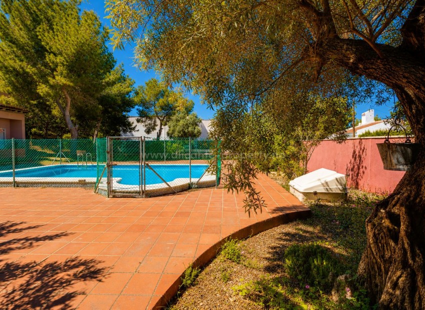 Villa in San Miguel de Salinas Centro