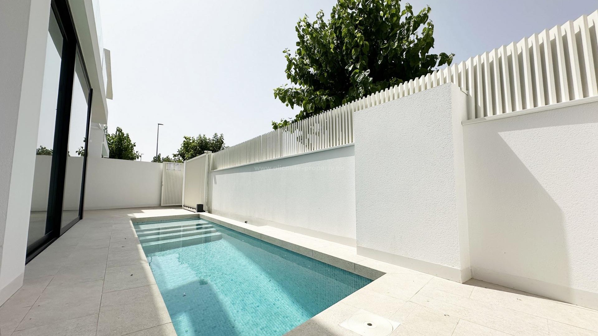 Villa in Torre De La Horadada