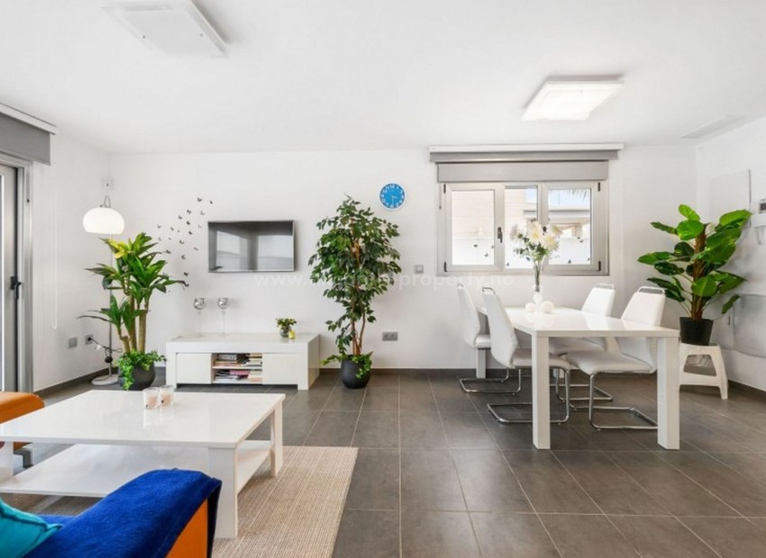 Villa in Torre De La Horadada