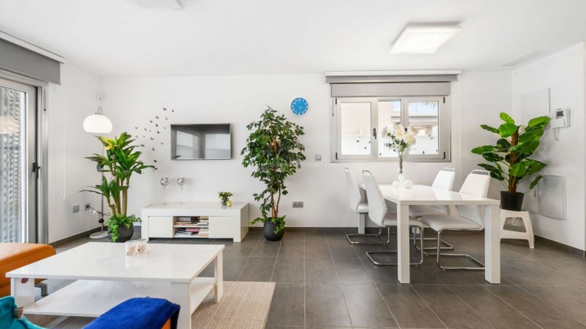 Villa in Torre De La Horadada