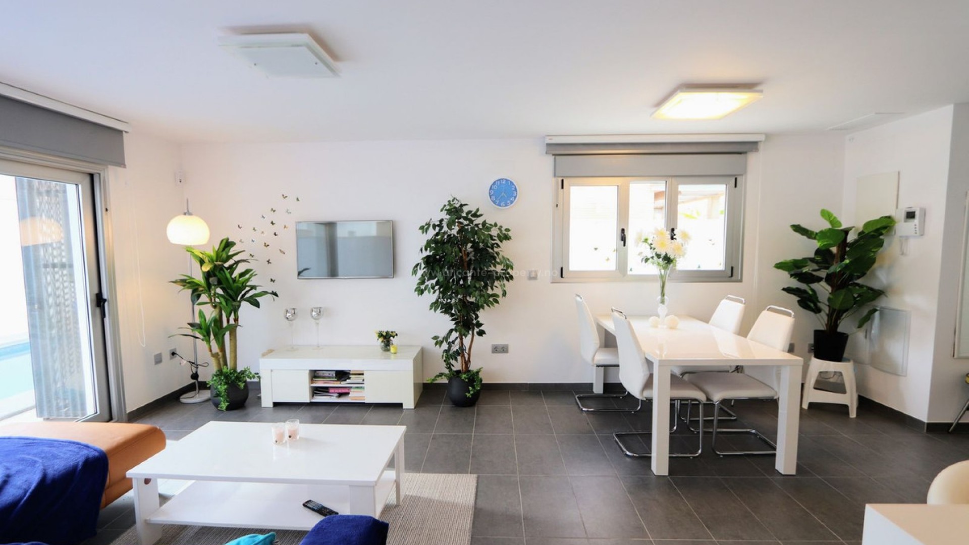 Villa in Torre De La Horadada