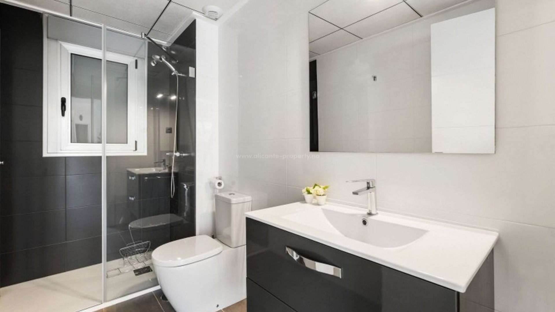 Villa in Torre De La Horadada