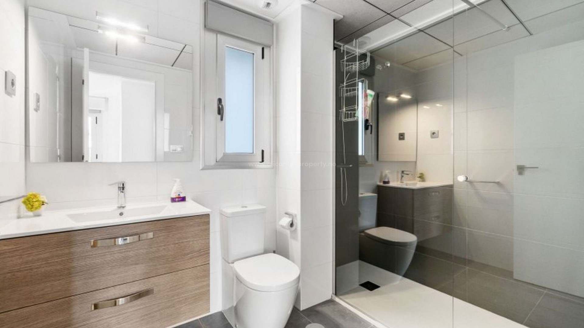 Villa in Torre De La Horadada