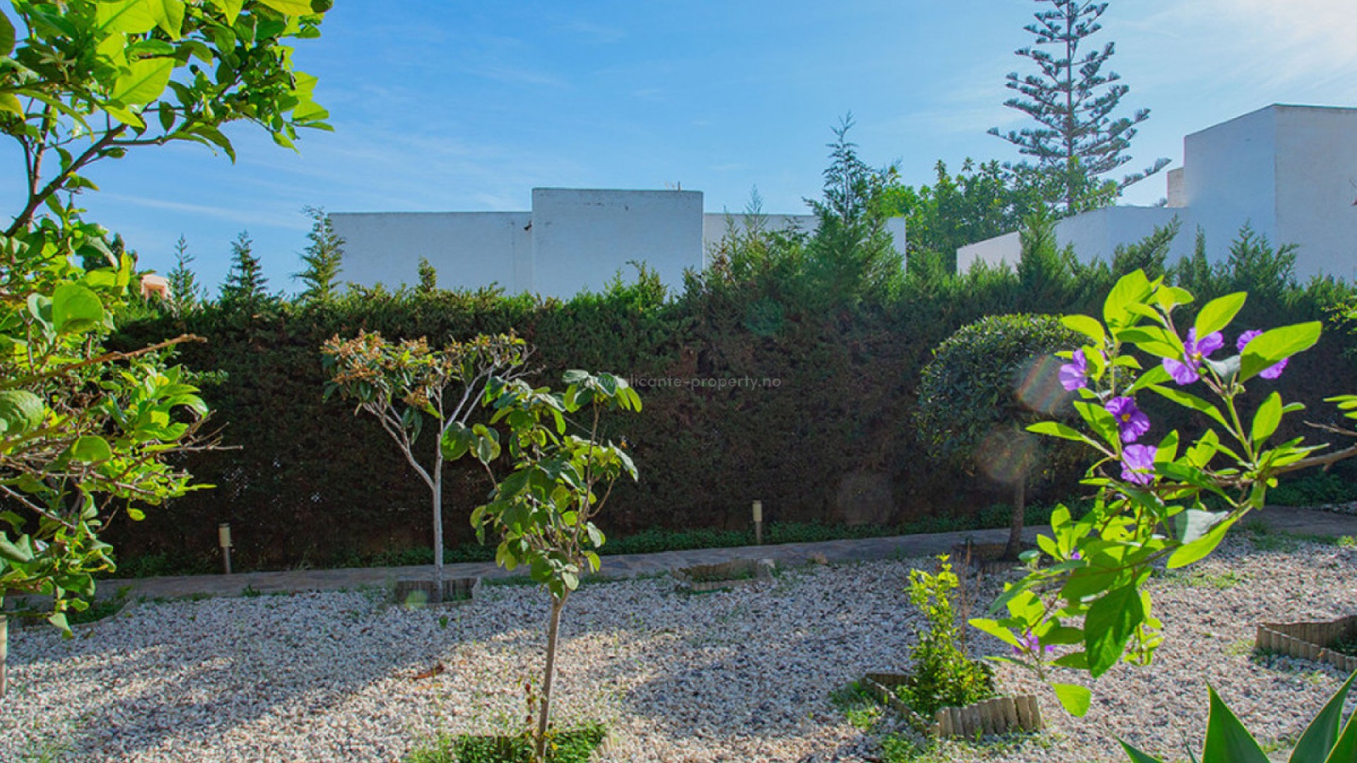 Villa in Torre La Mata