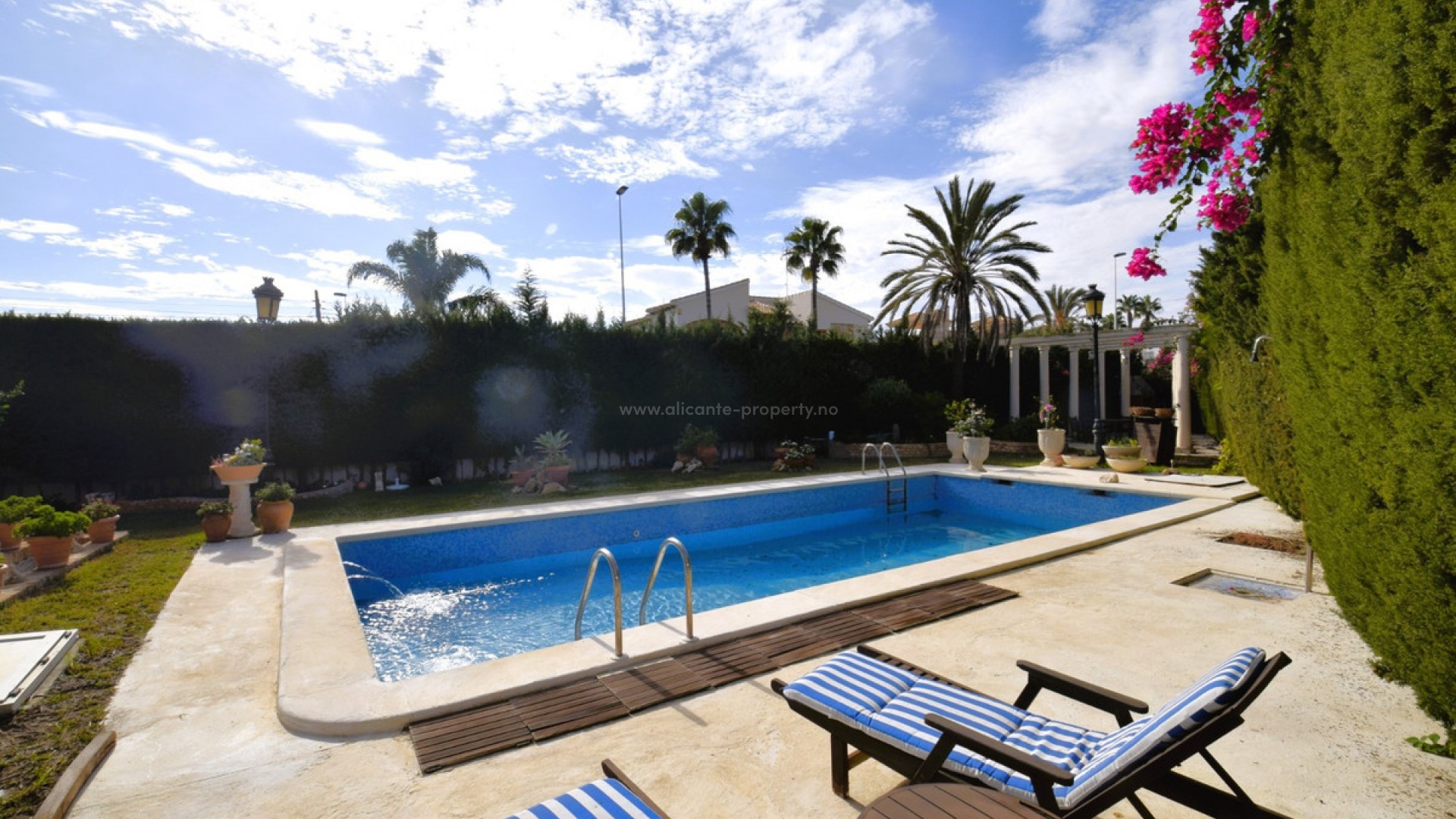 Villa in Torrevieja Centro