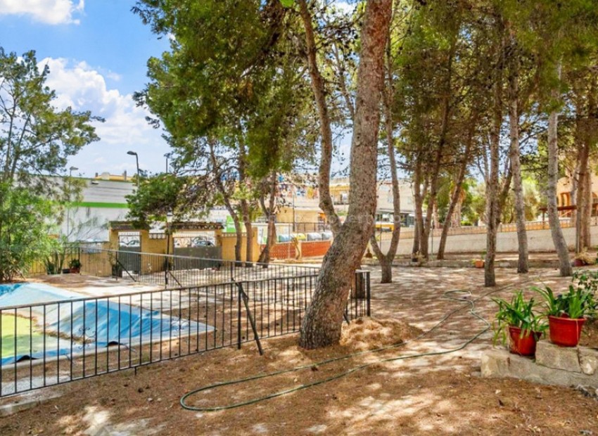 Villa in Torrevieja Centro