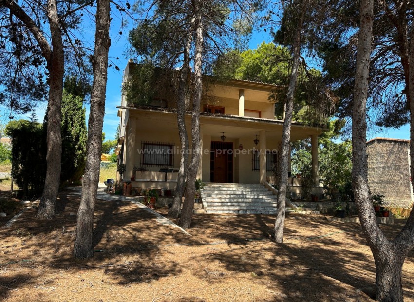 Villa in Torrevieja Centro