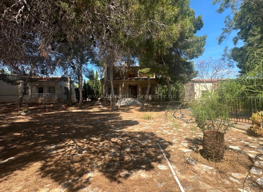 Villa in Torrevieja Centro
