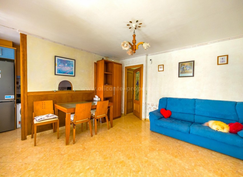 Villa in Torrevieja Centro