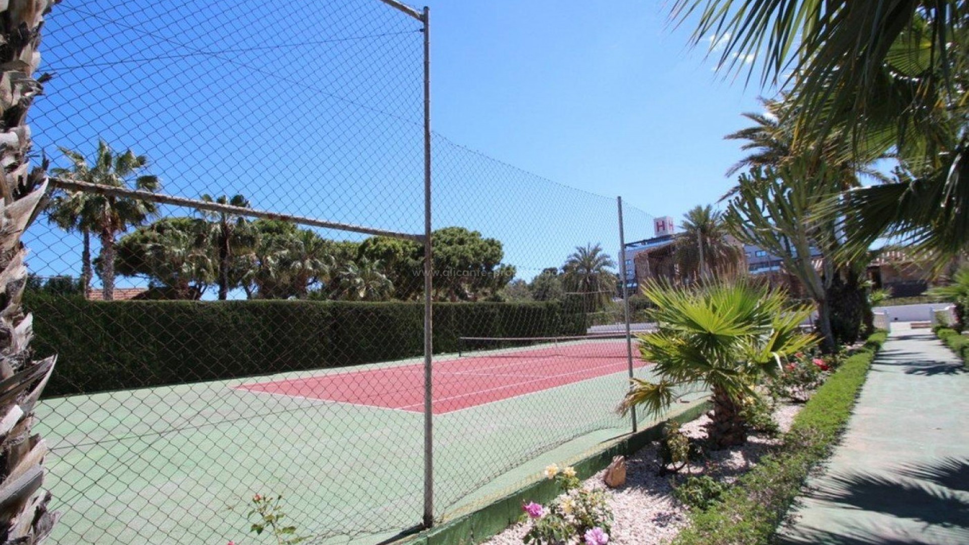 Villa in Torrevieja Centro