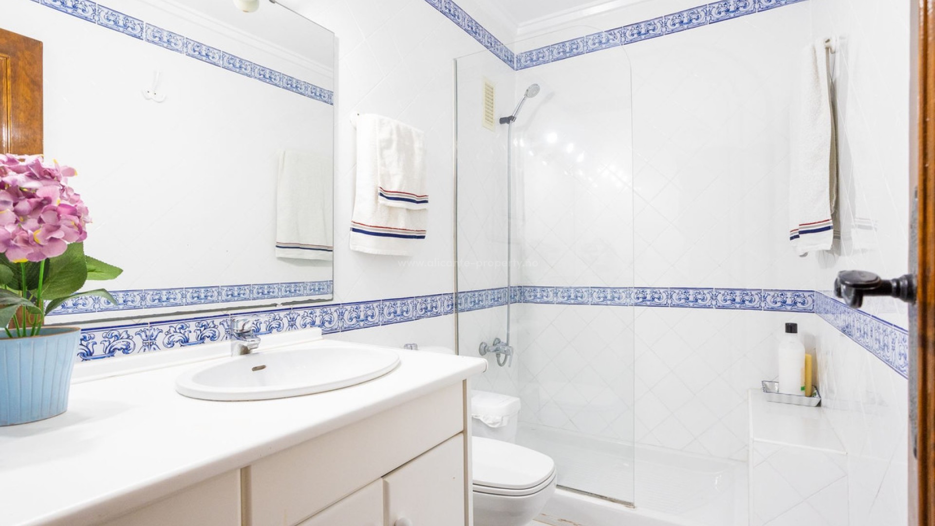 Villa in Torrevieja Centro