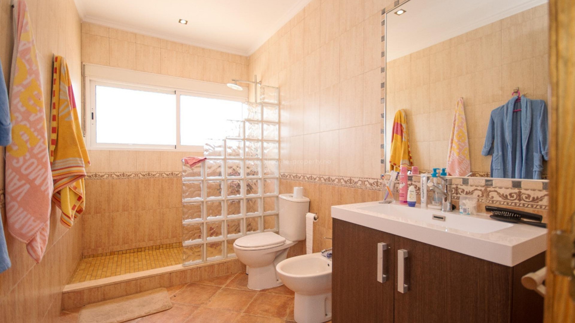 Villa in Torrevieja Centro