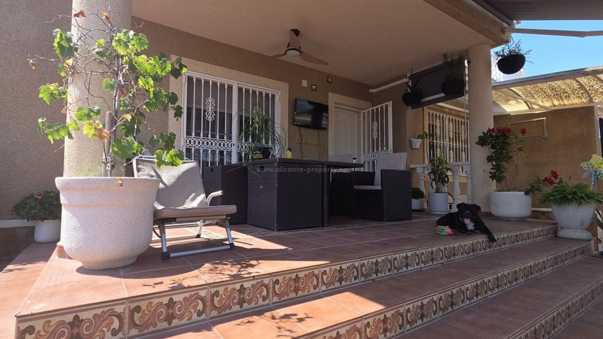 Villa in Torrevieja Centro